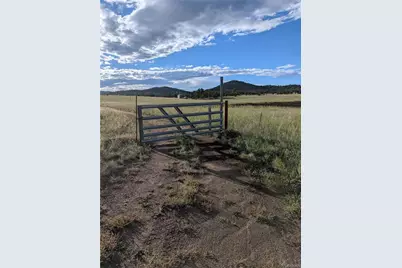 1263 23rd Trail, Cotopaxi, CO 81223 - Photo 2