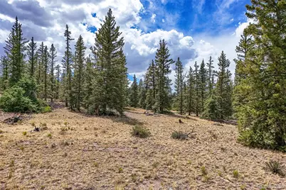 1111 Latigo Loop, Hartsel, CO 80820 - Photo 14