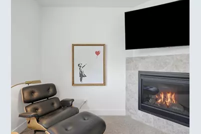3537 Tejon Street, Denver, CO 80211 - Photo 26