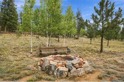199 Elk Horn Court, Bailey, CO 80421 - Photo 20