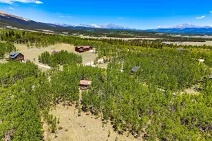 2436 High Creek Rd, Fairplay, CO 80440 - Photo 50