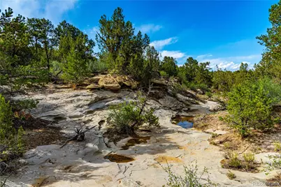 Tbd L Bandito Trail, Florence, CO 81226 - Photo 32