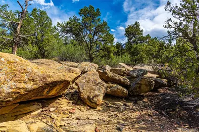 Tbd L Bandito Trail, Florence, CO 81226 - Photo 24