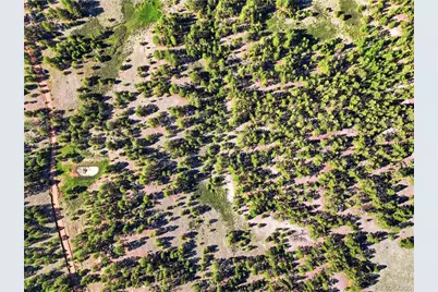 Doe Valley Road, Guffey, CO 80820 - Photo 12