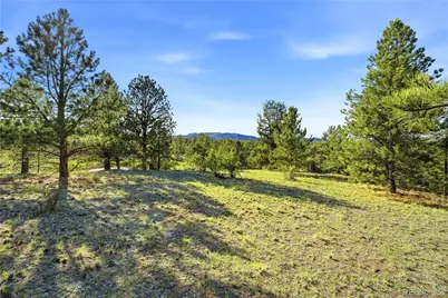 Doe Valley Road, Guffey, CO 80820 - Photo 10