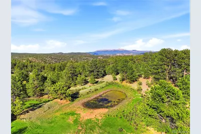 Doe Valley Road, Guffey, CO 80820 - Photo 16