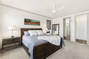 3945 Forever Cir, Castle Rock, CO 80109 - Photo 20