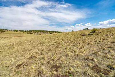 1265 County Rd 403, Florissant, CO 80816 - Photo 14
