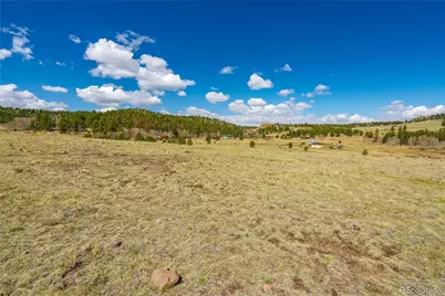 1265 County Rd 403, Florissant, CO 80816 - Photo 6