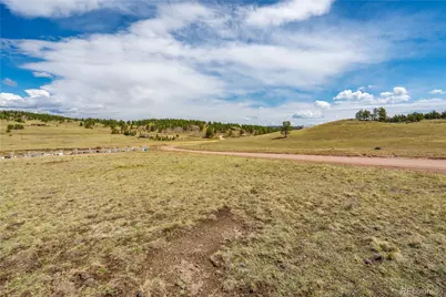 1265 County Rd 403, Florissant, CO 80816 - Photo 8