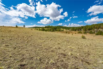 1265 County Rd 403, Florissant, CO 80816 - Photo 10