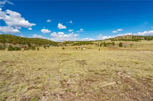1265 Co Rd 403, Florissant, CO 80816 - Photo 1