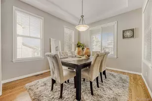 2609 Pemberly Ave, Highlands Ranch, CO 80126 - Photo 6