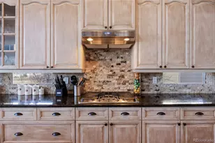 6263 Vacquero Cir, Castle Pines, CO 80108 - Photo 8