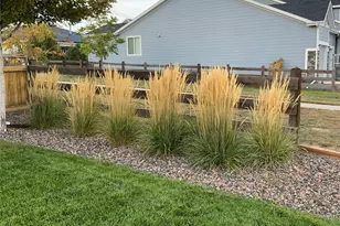 5569 Cherry Blossom Dr, Brighton, CO 80601 - Photo 46