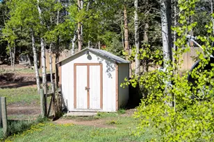310 Blossom Rd, Woodland Park, CO 80863 - Photo 20