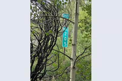 22494 County Road 227, Salida, CO 81201 - Photo 44
