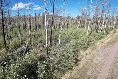 915/917 Ueda Place, Fort Garland, CO 81133 - Photo 4