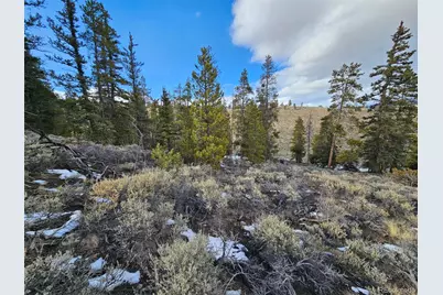 Parcel 11, Tract 11, Twin Lakes, CO 81251 - Photo 8