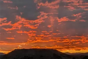 981 Oakwood Dr, Castle Rock, CO 80104 - Photo 44