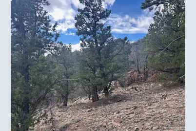 143 Ive Place, Cotopaxi, CO 81223 - Photo 8