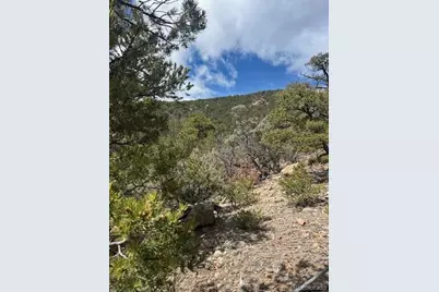 143 Ive Place, Cotopaxi, CO 81223 - Photo 10