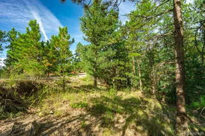 360 Hi Meadow Drive, Bailey, CO 80421 - Photo 8