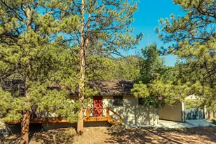 62 White Trl, Lake George, CO 80827 - Photo 1