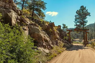 62 White Trl, Lake George, CO 80827 - Photo 4