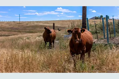 2151 Elizabeth Drive, Parker, CO 80138 - Photo 24
