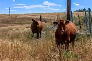 2151 Elizabeth Dr, Parker, CO 80138 - Photo 24