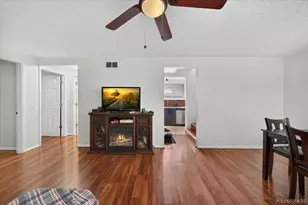 9030 Elm Ct, Denver, CO 80260 - Photo 34