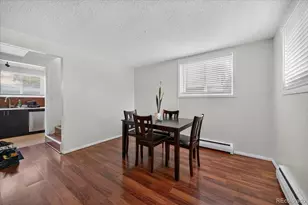 9030 Elm Ct, Denver, CO 80260 - Photo 38