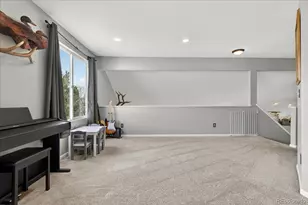 6327 Old Divide Trail, Parker, CO 80134 - Photo 20