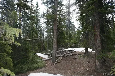 587 Puma Place, Fairplay, CO 80440 - Photo 10