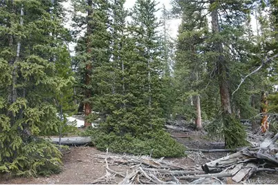 587 Puma Place, Fairplay, CO 80440 - Photo 16