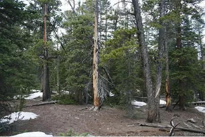 587 Puma Place, Fairplay, CO 80440 - Photo 8