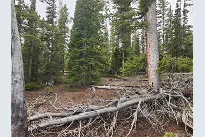 587 Puma Place, Fairplay, CO 80440 - Photo 14