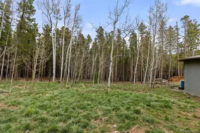 307 Dudes Drive, Rollinsville, CO 80474 - Photo 32