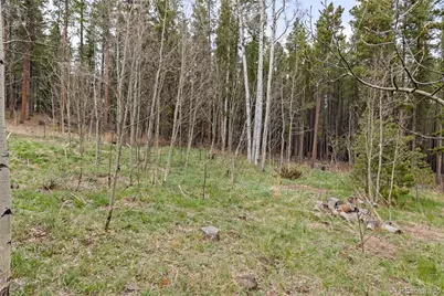 307 Dudes Drive, Rollinsville, CO 80474 - Photo 36