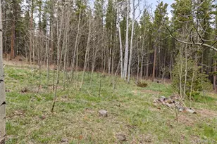 307 Dude's Dr, Rollinsville, CO 80474 - Photo 36