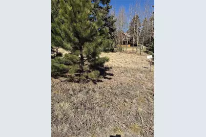 405 Meadow Park Drive, Divide, CO 80814 - Photo 1