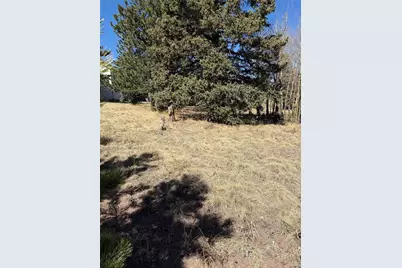 405 Meadow Park Drive, Divide, CO 80814 - Photo 6
