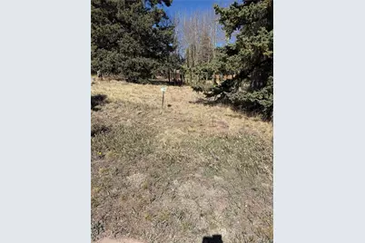 405 Meadow Park Drive, Divide, CO 80814 - Photo 4