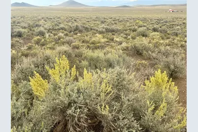 Lot 12 10th Street, Blanca, CO 81123 - Photo 6