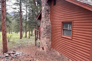 861 Happy Top Trail, Bailey, CO 80421 - Photo 24