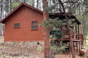 861 Happy Top Trail, Bailey, CO 80421 - Photo 26