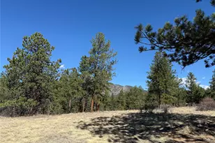 861 Happy Top Trail, Bailey, CO 80421 - Photo 38