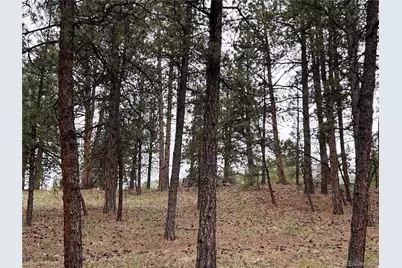 861 Happy Top Trail, Bailey, CO 80421 - Photo 24