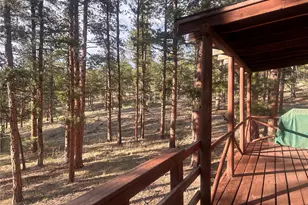 861 Happy Top Trail, Bailey, CO 80421 - Photo 8